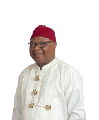 Professor Frank Nwoye Okafor