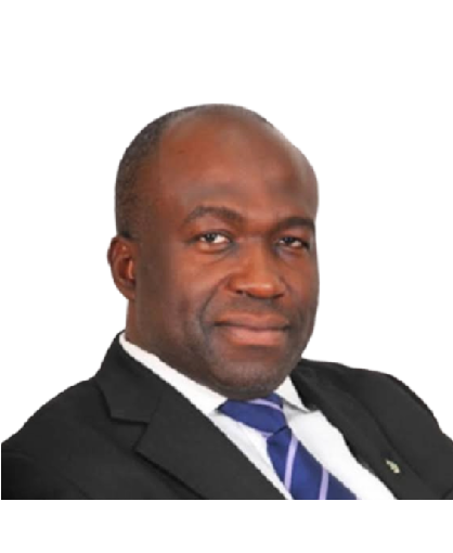 Dr. Nnaemeka O. Ewelukwa